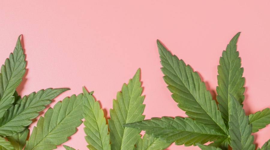 ¿Se puede fumar marihuana y tomar éxtasis al mismo tiempo?