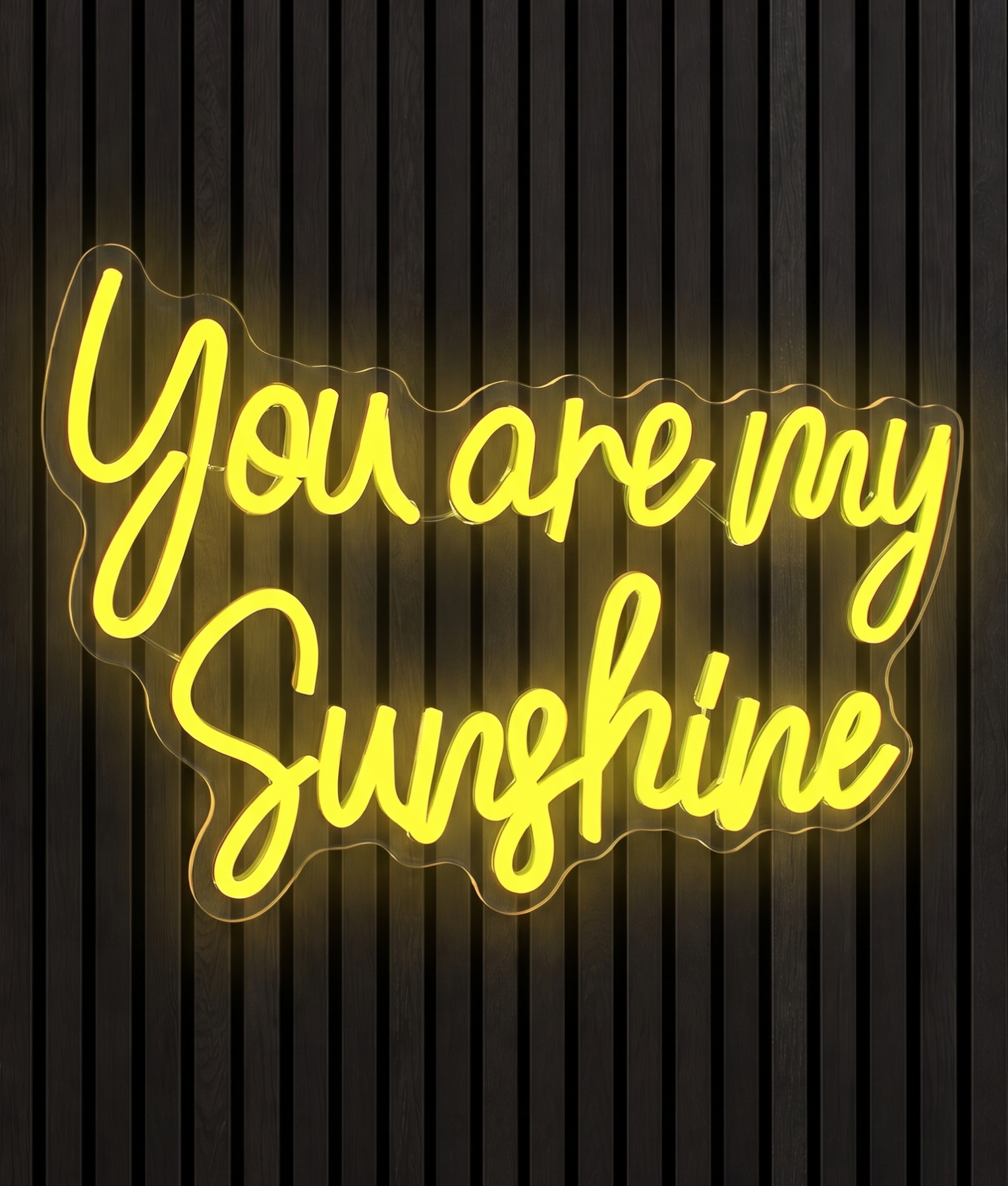 You are my sunshine neon lamp